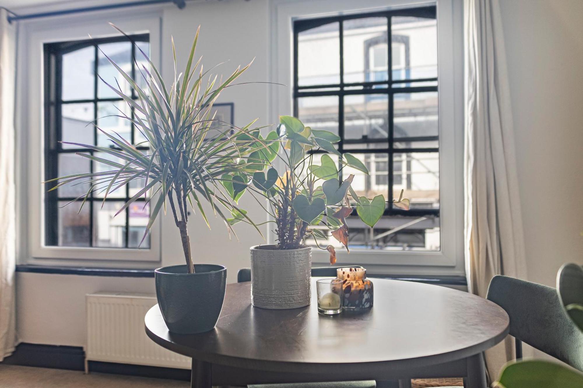 Timeless 400-Year-Old Historic Flat Apartment Plymouth